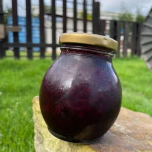 Frasco de mermelada artesanal de arándano sobre piedra en jardín natural.