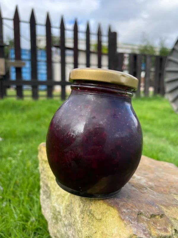 Frasco de mermelada artesanal de arándano sobre piedra en jardín natural.