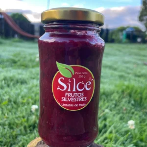 Frasco de mermelada de frutos silvestres Siloé sobre piedra en campo verde.