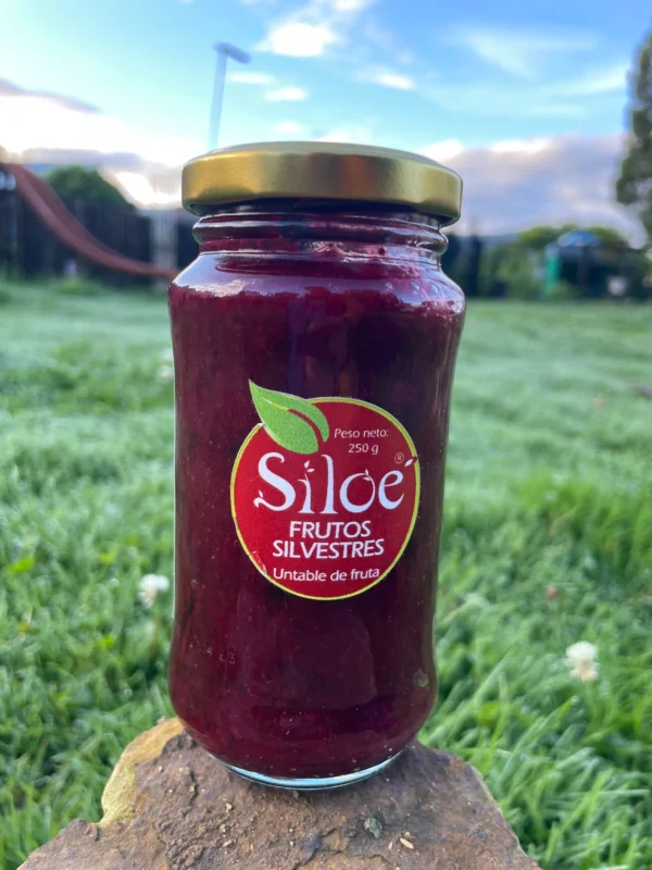 Frasco de mermelada de frutos silvestres Siloé sobre piedra en campo verde.