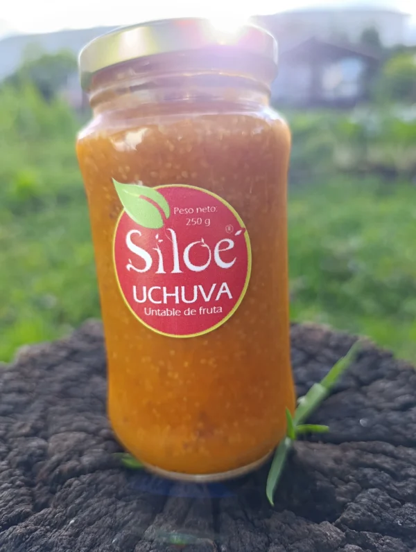 Frasco de mermelada artesanal de uchuva con semillas de chía sobre tronco natural