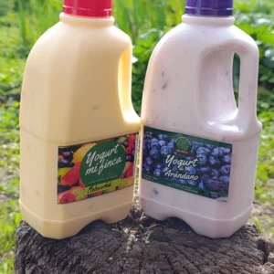 yogur artesanal de fruta, 100% natural.