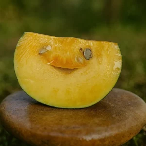 Trozo de ahuyama orgánica