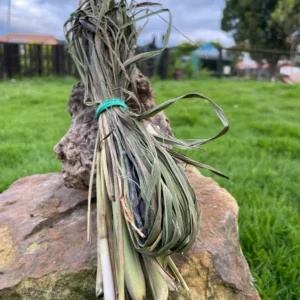 Ramillete de limonaria fresca sobre piedra con fondo verde y cielo nublado.