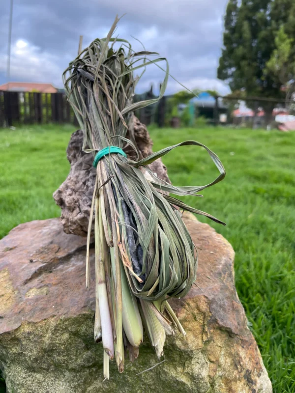 Ramillete de limonaria fresca sobre piedra con fondo verde y cielo nublado.