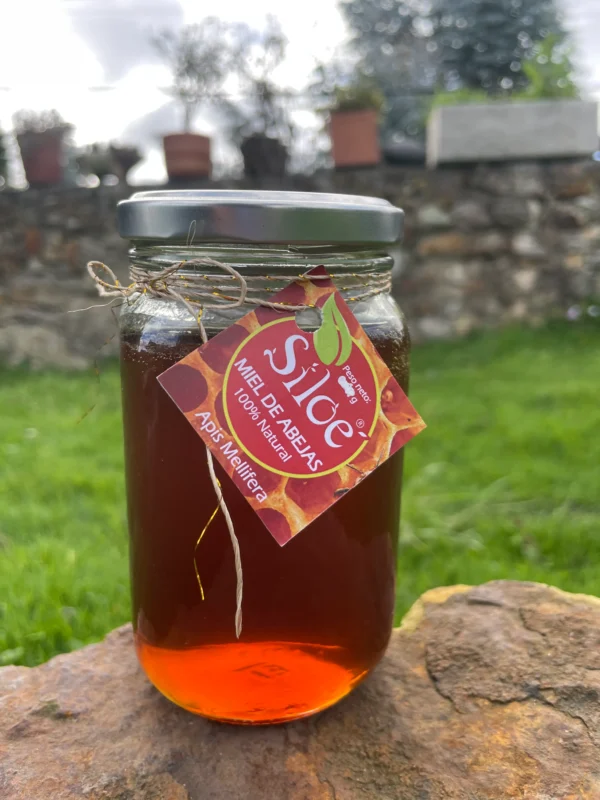 Frasco de miel de abejas Siloé con etiqueta artesanal.