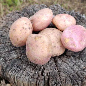 Papas sabaneras frescas cultivadas de forma agroecológica.