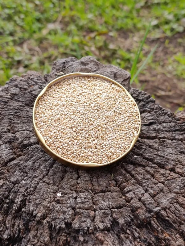Quinoa orgánica andina