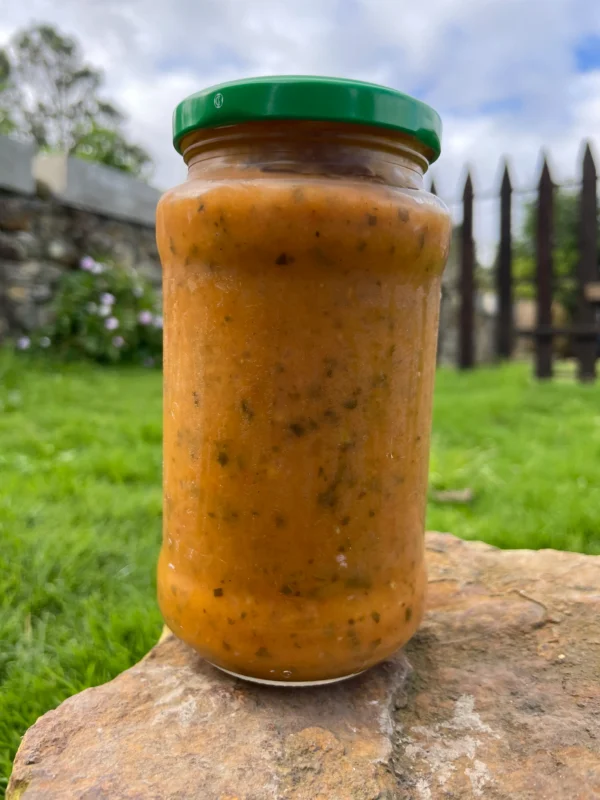 Imagen de rúgula (Eruca sativa) fresca y orgánica, dispuesta sobre una piedra en un entorno natural. Esta hoja verde es conocida por su sabor ligeramente picante y sus propiedades antioxidantes. Cultivada de forma sostenible, es perfecta para quienes buscan alimentos saludables, sin agroquímicos y ricos en nutrientes esenciales.