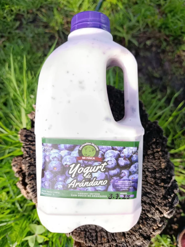 Botella de yogur artesanal de arándano de la marca Mi Finca sobre tronco natural.