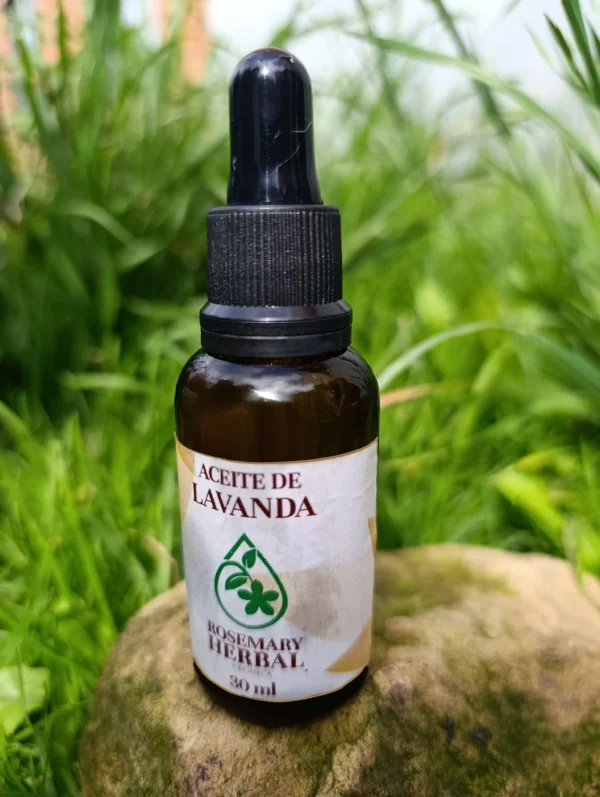 Frasco de aceite de lavanda Rosemary Herbal de 30 ml sobre piedra en un entorno natural verde.