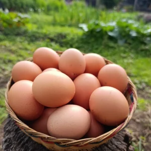 Canasta de huevos frescos campesinos provenientes de huerta rural.