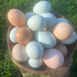 Canasta con huevos criollos de colores pastel, puestos por gallinas criadas en libertad y de forma natural.