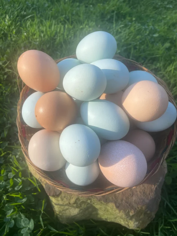 Canasta con huevos criollos de colores pastel, puestos por gallinas criadas en libertad y de forma natural.
