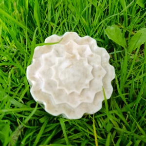 Jabón artesanal de avena Rosemary Herbal con forma floral, sobre césped natural.