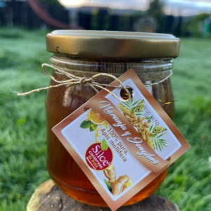 Frasco de conserva natural de naranja y jengibre con miel, sobre fondo verde.