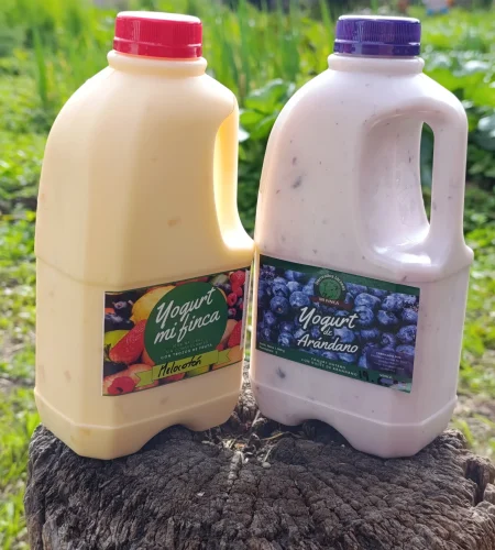 yogur artesanal de fruta, 100% natural.