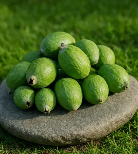 Frutas de feijoa frescas